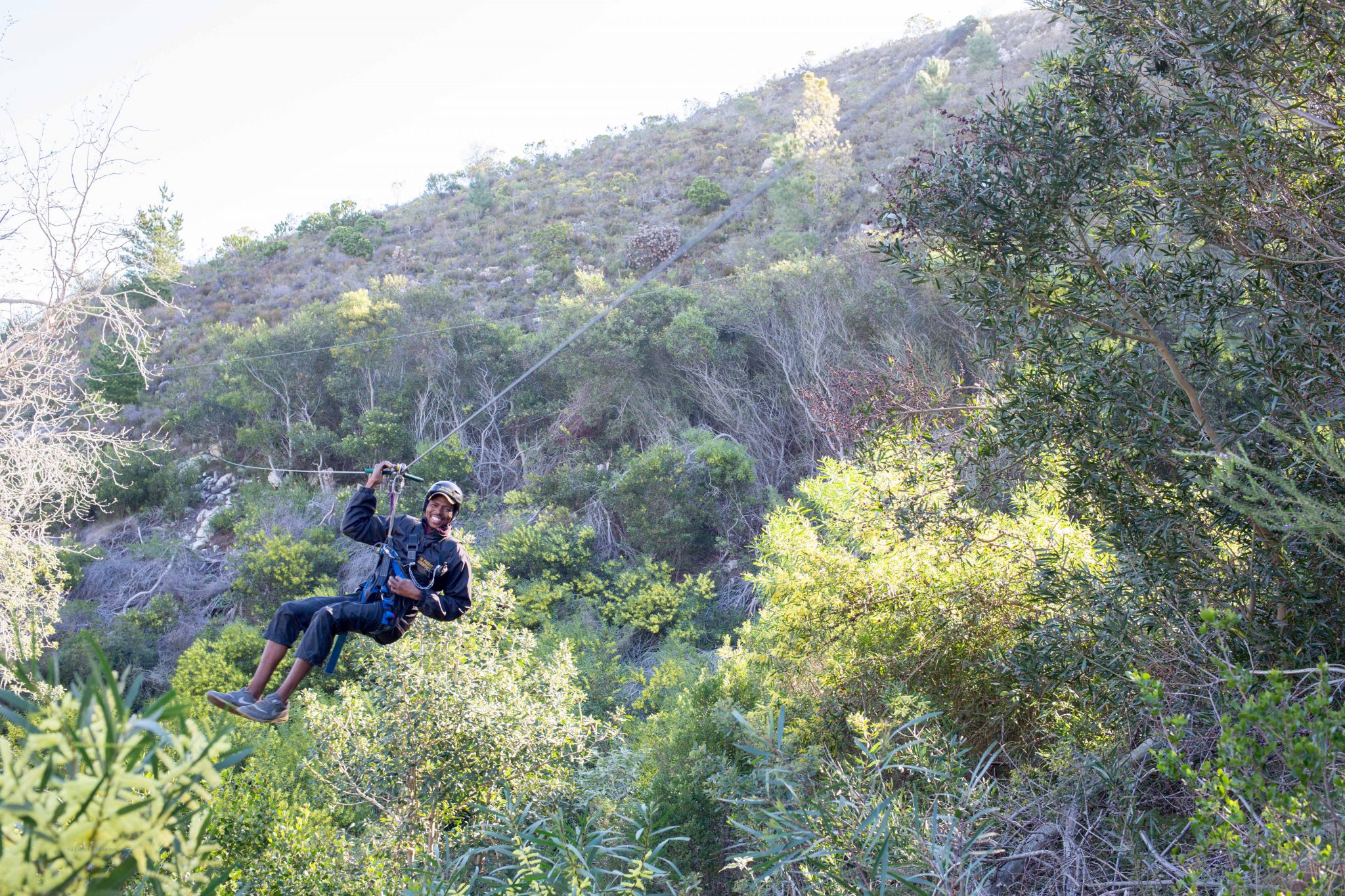 Tree Top Zipline Tour Hermanus a gliding adventure in the trees