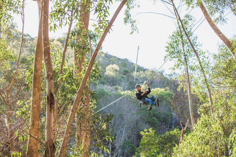 Tree Top Zipline Tour Hermanus SA Forest Adventures